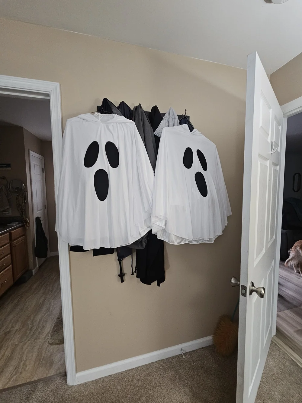 Classic White Ghost Kids Or Adult Poncho Costume Hoodie